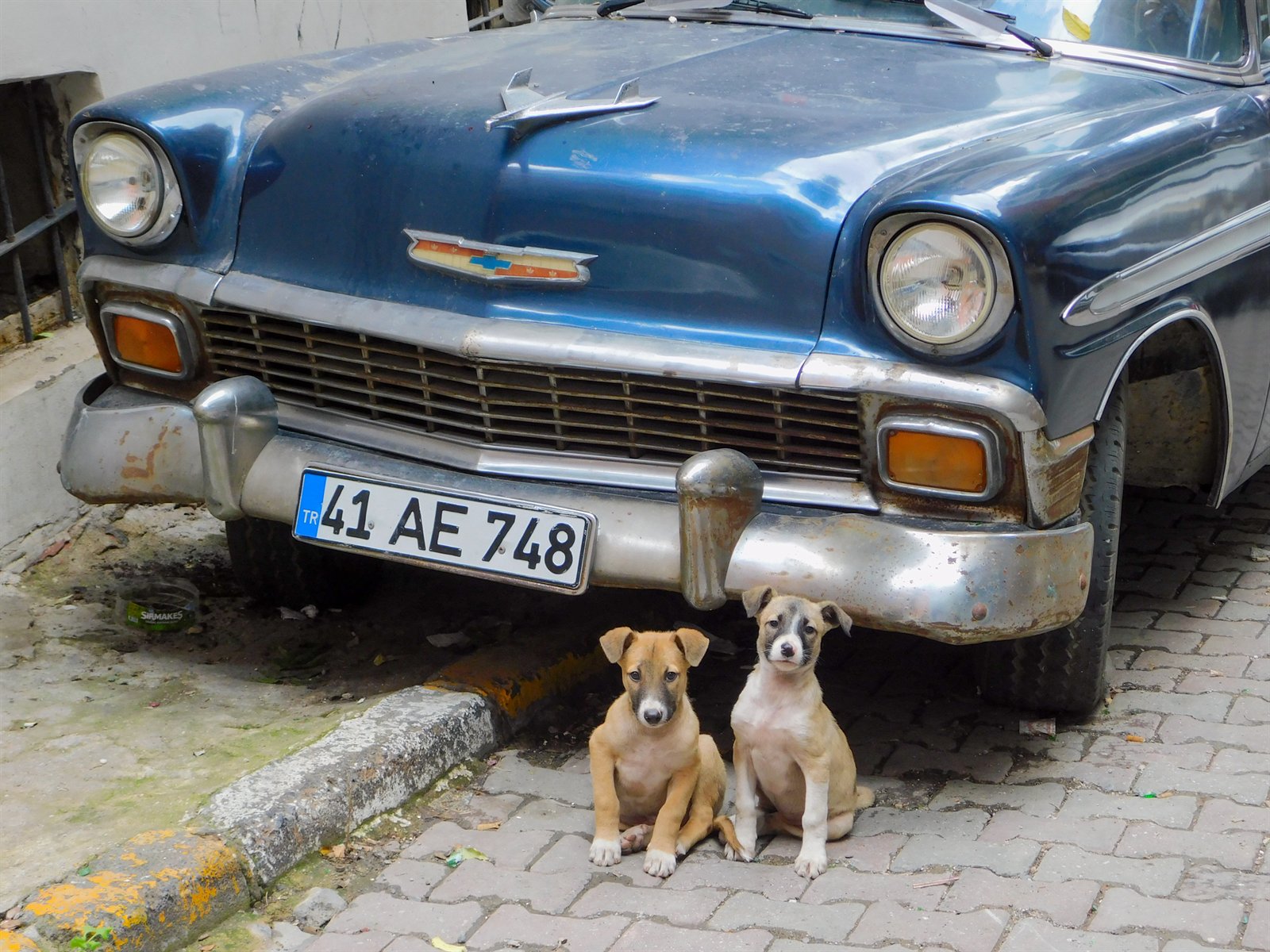 Vecchia Chevrolet, Istanbul di Ivan Pogodin